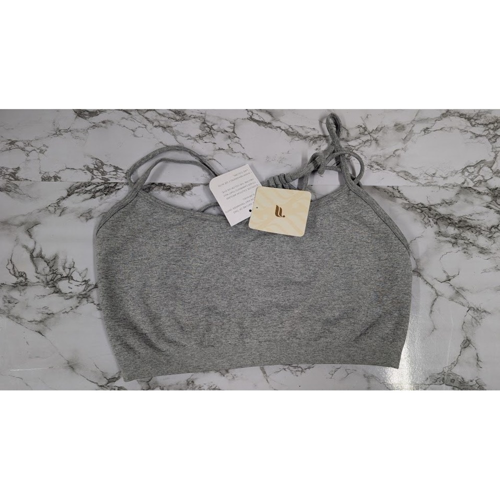 Fabletics Dash Low Impact Bra Size XL